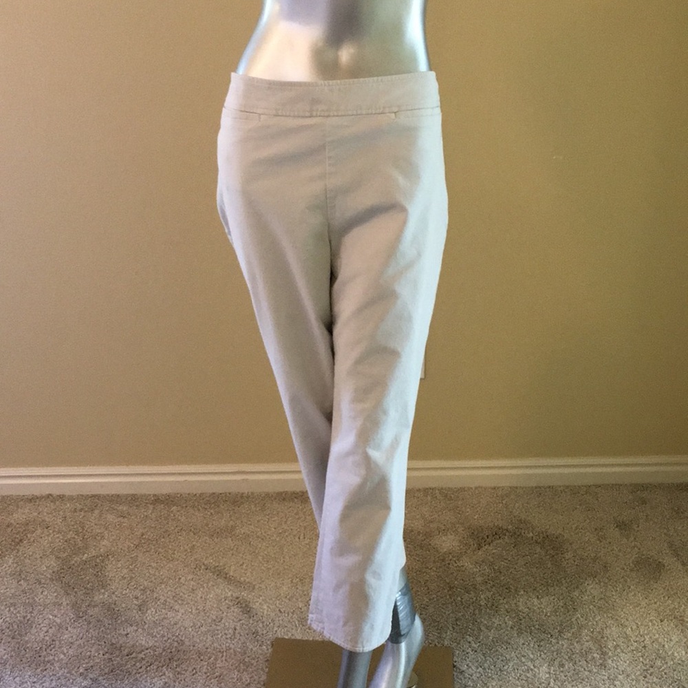 TALBOTS | Crop Pants Side Zip Stone